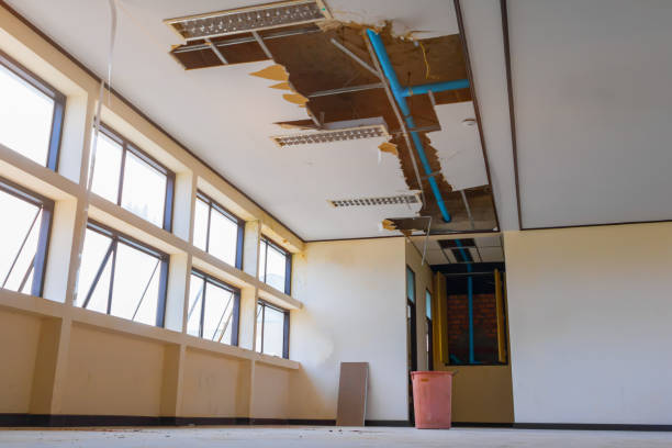 Best Mold removal after water damage  in St Anthony, ID