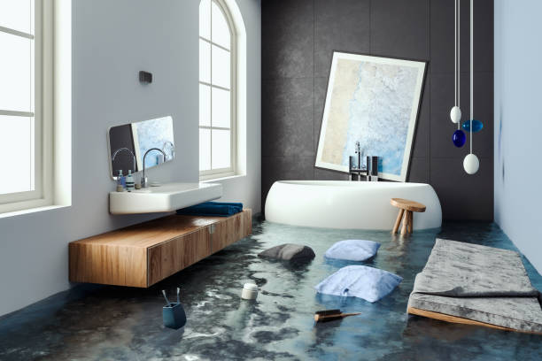Best Residential water damage restoration  in St Anthony, ID
