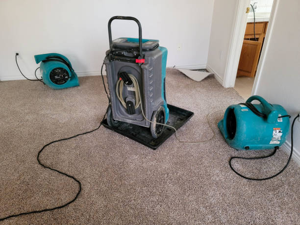 Best Flooded house restoration  in St Anthony, ID