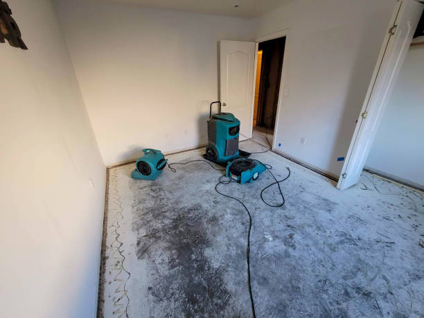 Best Water damage restoration near me  in St Anthony, ID