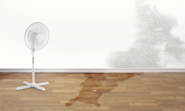 Best Flood restoration services  in St Anthony, ID