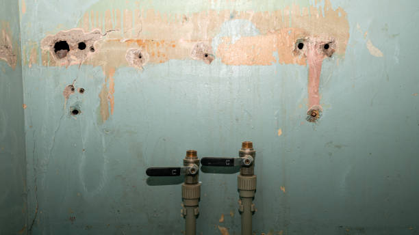 Best Ceiling water damage repair  in St Anthony, ID