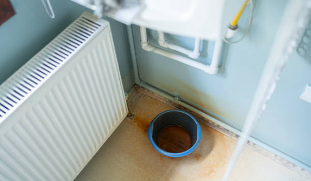 Best Professional water damage repair  in St Anthony, ID