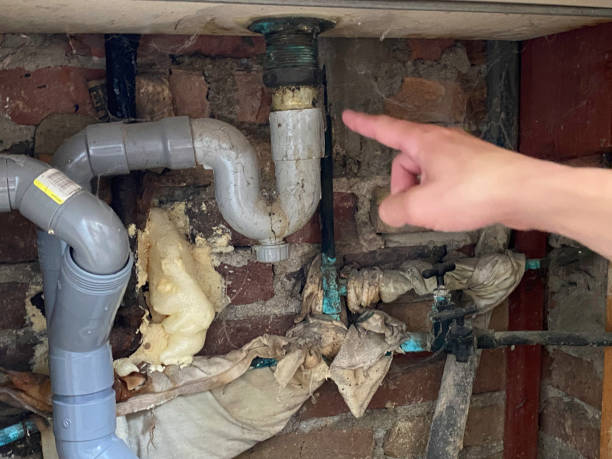 Best Professional water damage repair  in St Anthony, ID
