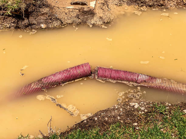 Best Local water damage restoration  in St Anthony, ID