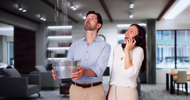 Best Ceiling water damage repair  in St Anthony, ID