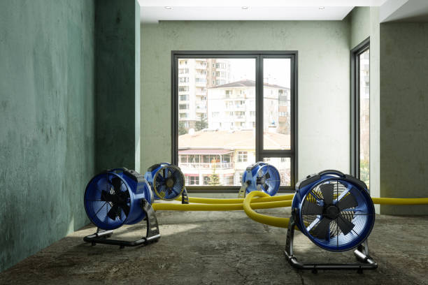 Trusted St Anthony, ID Water damage restoration Experts